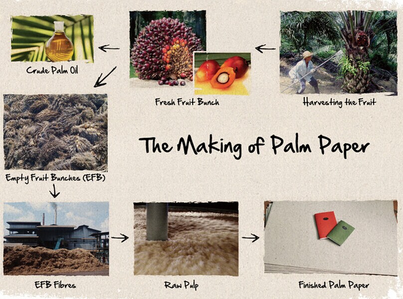 make palm paper from wasted efb